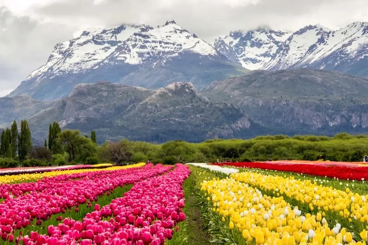 Chubut